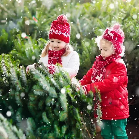 Forest Chalet, Famous Areas Around Us, 15 Min To Of Salzburg, Mountainview, Panorama Sauna, Bath Whirlpool, Fire Pit In Garden Up To 10 P غولنغ ان دير سالزا