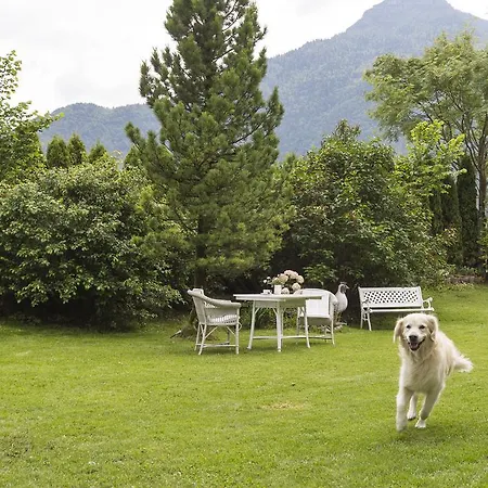 Forest Retreat: Mountain Views, Sauna & Garden Oasis Holiday home *