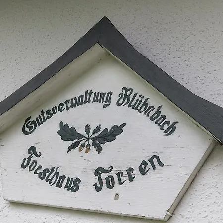 Vakantiehuis Forest Chalet, Famous Areas Around Us, 15 Min To Of Salzburg, Mountainview, Panorama Sauna, Bath Whirlpool, Fire Pit In Garden Up To 10 P *