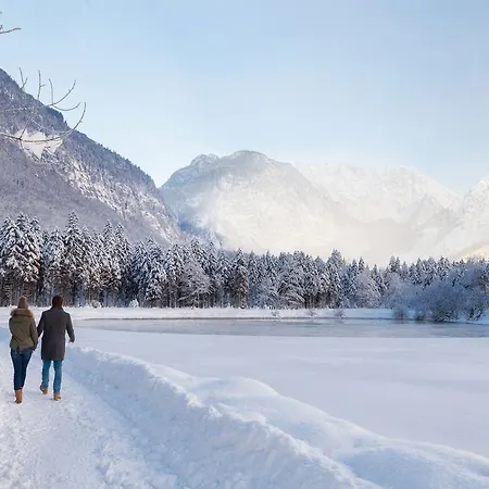 Vakantiehuis Forest Chalet, Famous Areas Around Us, 15 Min To Of Salzburg, Mountainview, Panorama Sauna, Bath Whirlpool, Fire Pit In Garden Up To 10 P *