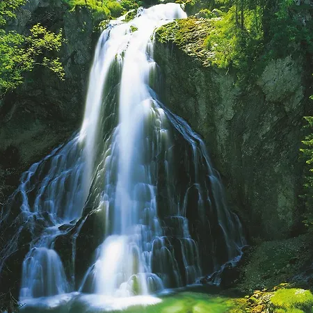 Forest Chalet, Famous Areas Around Us, 15 Min To Of Salzburg, Mountainview, Panorama Sauna, Bath Whirlpool, Fire Pit In Garden Up To 10 P *