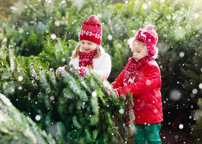 Forest Chalet, Famous Areas Around Us, 15 Min To Of Salzburg, Mountainview, Panorama Sauna, Bath Whirlpool, Fire Pit In Garden Up To 10 P 골링안데살자흐