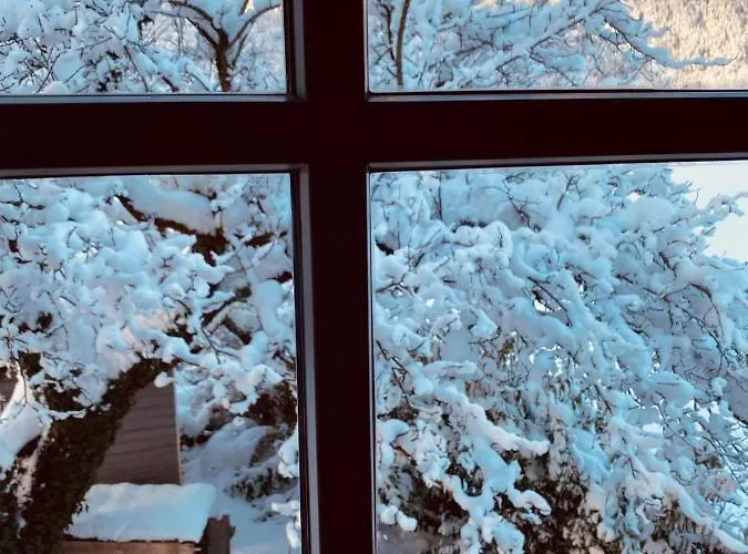 Forest Chalet, Famous Areas Around Us, 15 Min To Of Salzburg, Mountainview, Panorama Sauna, Bath Whirlpool, Fire Pit In Garden Up To 10 P * 골링안데살자흐