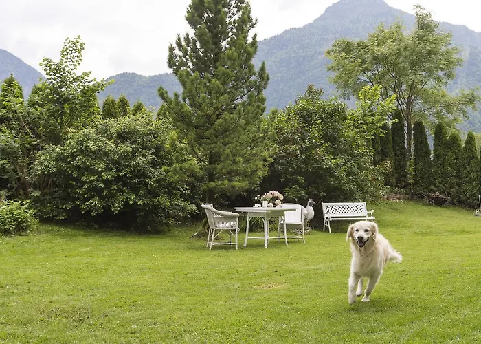 Forest Chalet, Famous Areas Around Us, 15 Min To Of Salzburg, Mountainview, Panorama Sauna, Bath Whirlpool, Fire Pit In Garden Up To 10 P 펜션 *