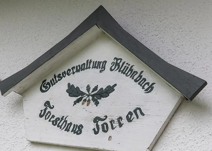 펜션 Forest Chalet, Famous Areas Around Us, 15 Min To Of Salzburg, Mountainview, Panorama Sauna, Bath Whirlpool, Fire Pit In Garden Up To 10 P *